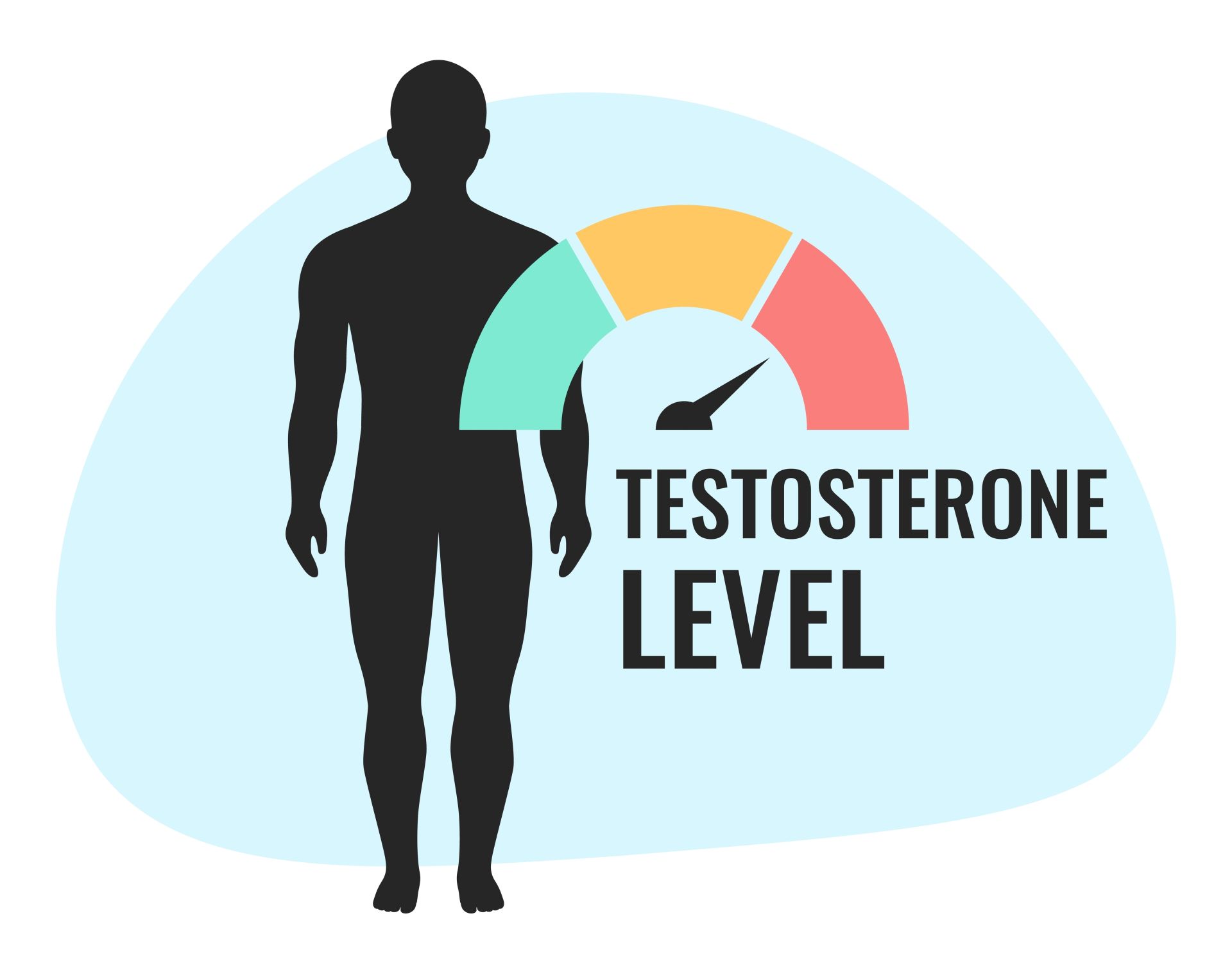 Grafika człowieka z napisem Testosteron Level